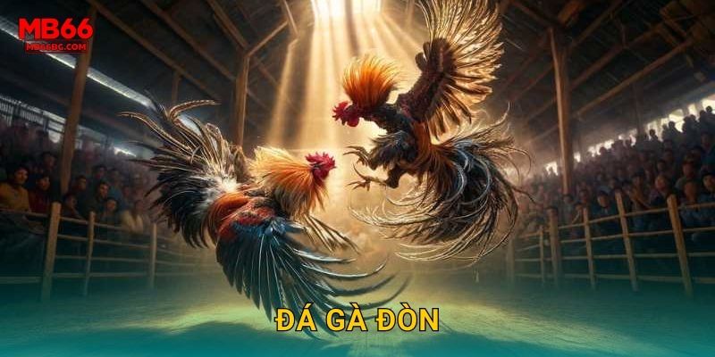 Đá Gà Đòn Mb66 bg – Chiêu Thức Quyết Định
