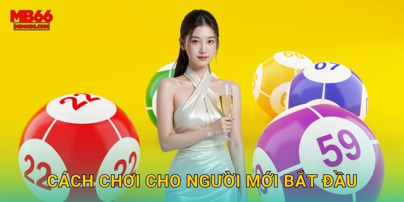 Cách chơi cho người mới bắt đầu